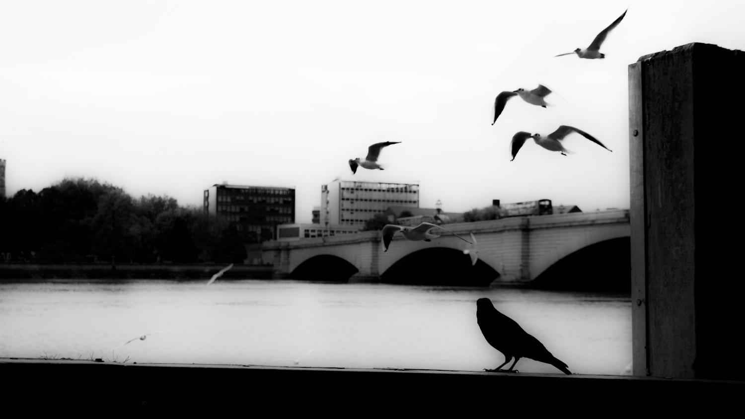 Putney Bridge spanning the River Thames