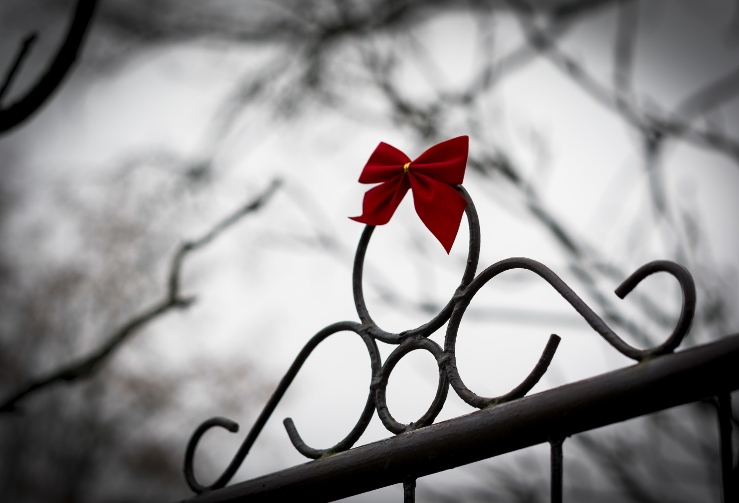 Colourful ribbon with a shallow depth of field